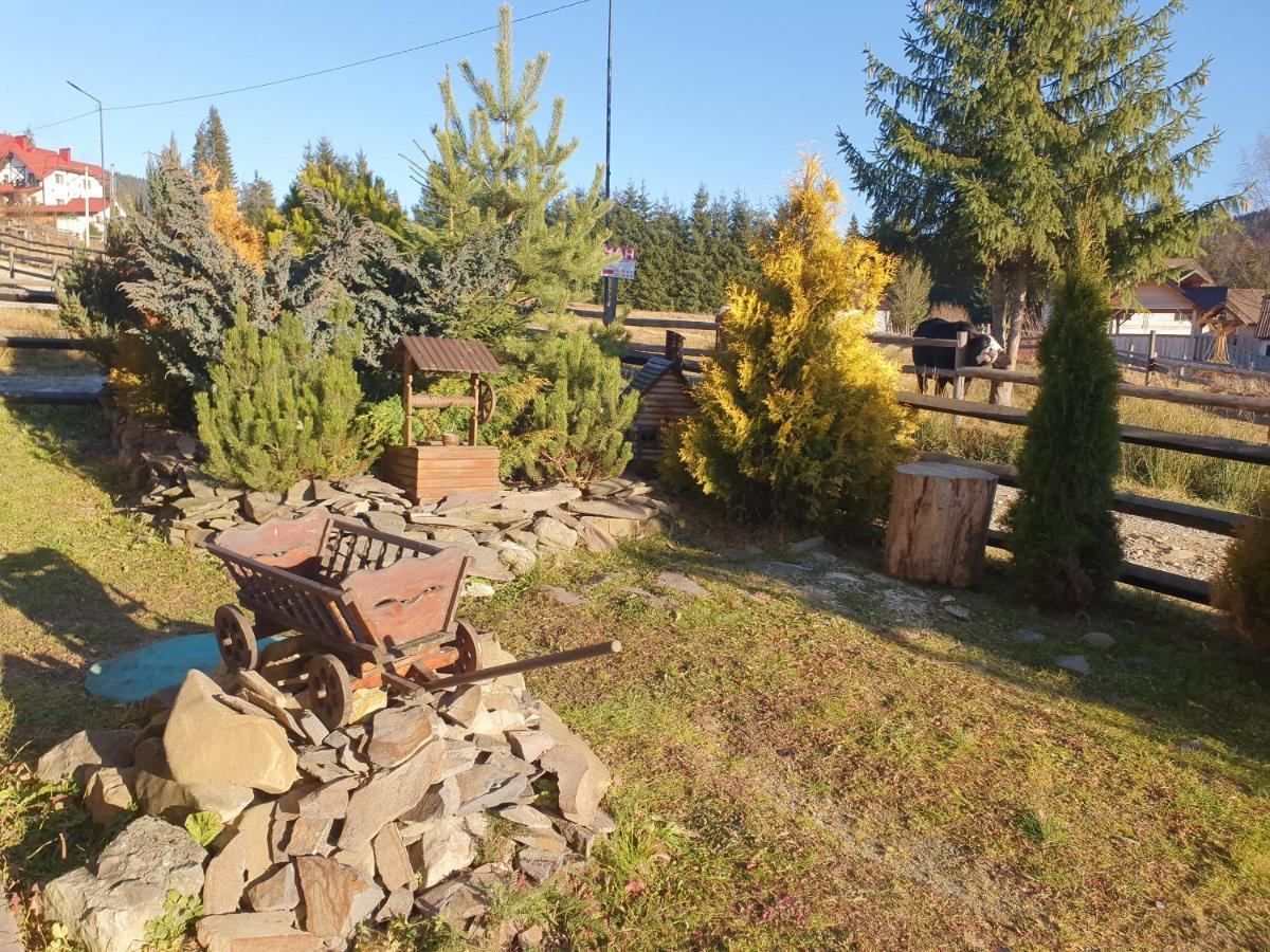 Chalet 888 Cottages 팔리아니츠야 외부 사진
