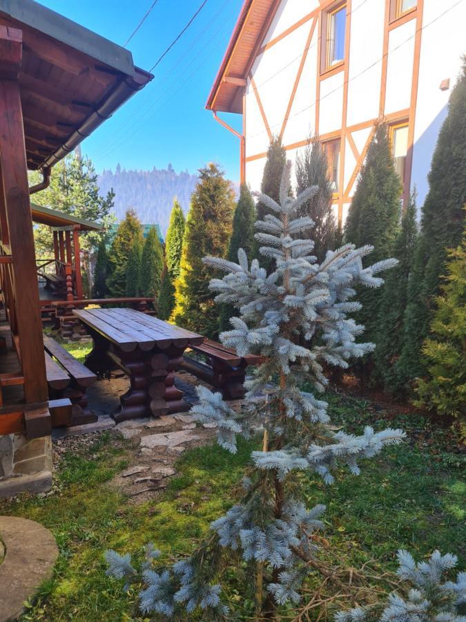 Chalet 888 Cottages 팔리아니츠야 외부 사진